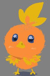 Torchic Torchic